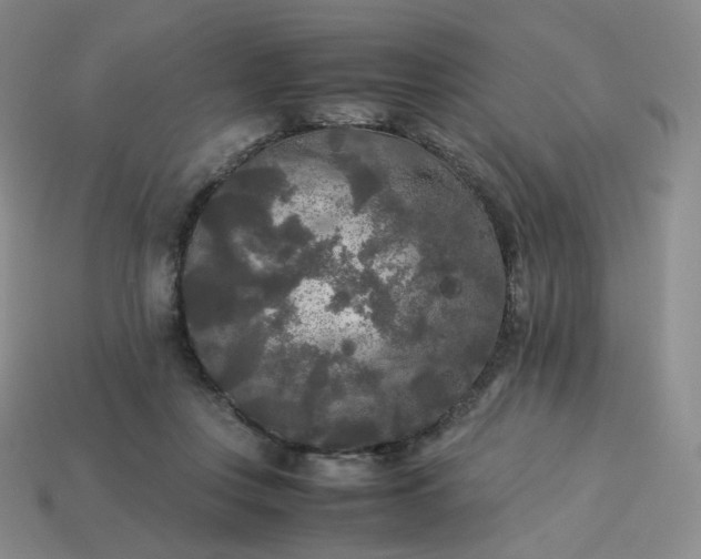 X0000114090359200910191608