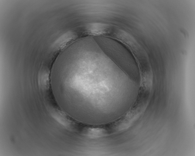 X0000114090360200910191608