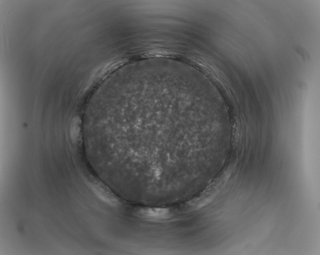 X0000114090361200910191608