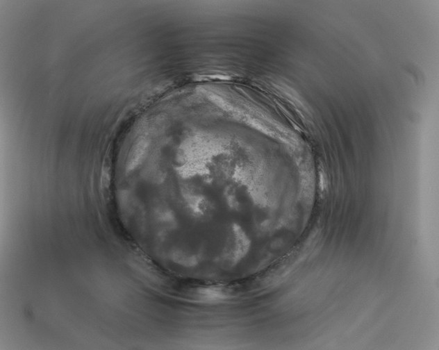 X0000114090365200910191608