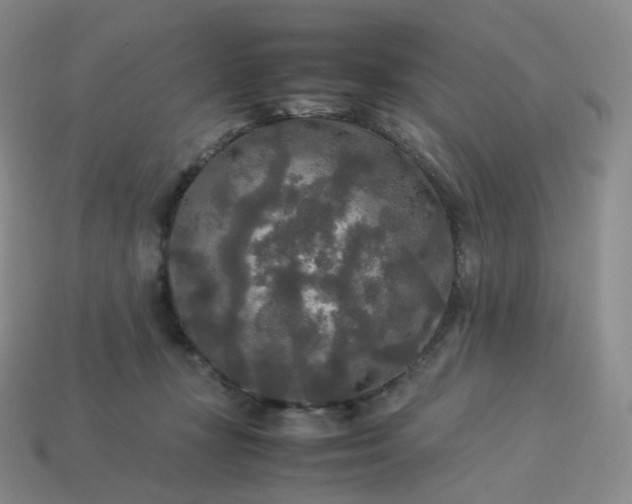X0000114090367200910191608