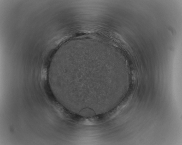 X0000114090368200910191608