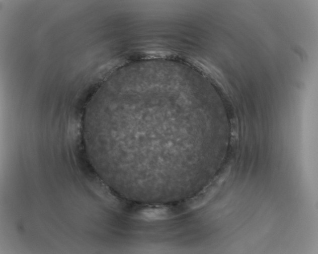 X0000114090369200910191608