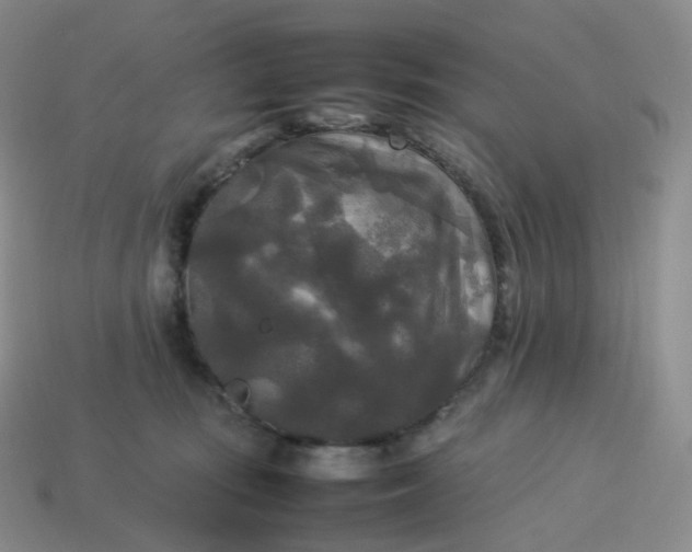 X0000114090371200910191608