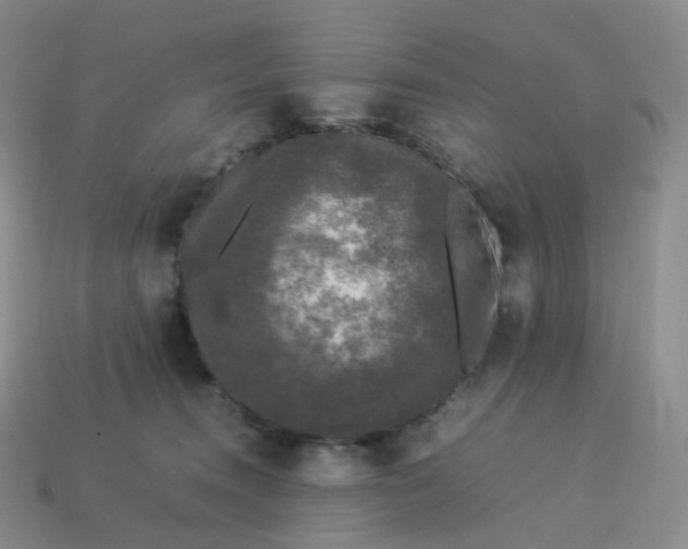 X0000114090372200910191608