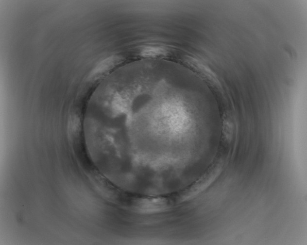 X0000114090375200910191608