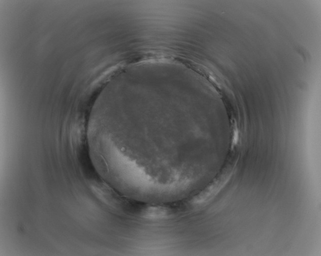 X0000114090376200910191608