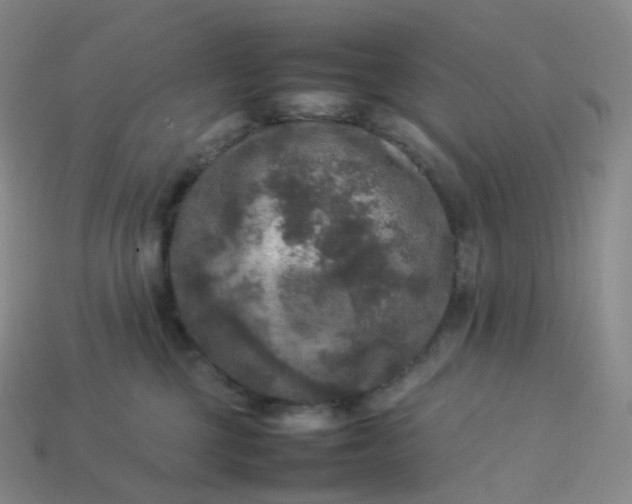 X0000114090377200910191608