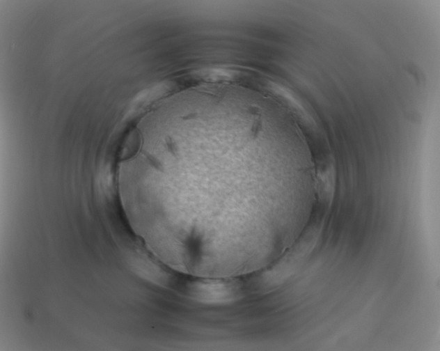 X0000114090381200910191608