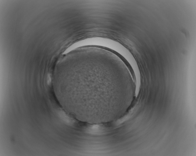 X0000114090382200910191608