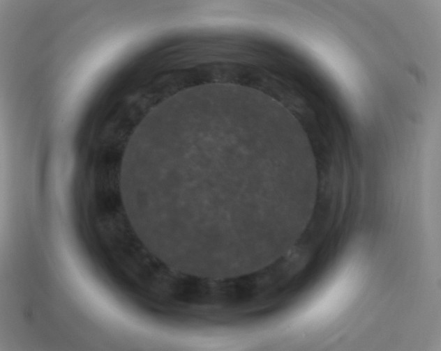 X0000114090383200910191608