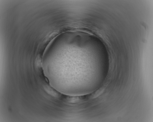 X0000114090384200910191608