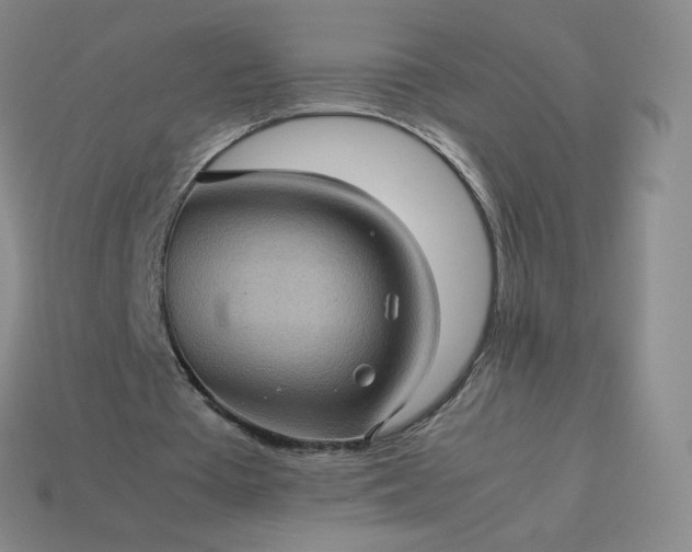 X0000114090385200910191608