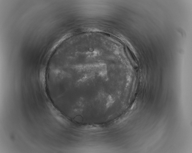 X0000114090386200910191608