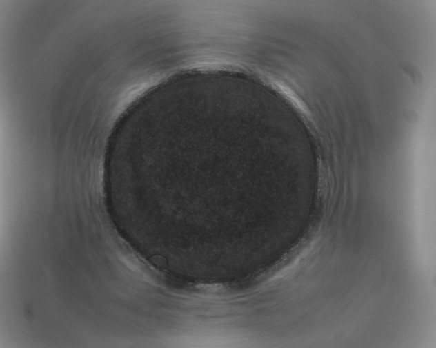 X0000114090391200910191607
