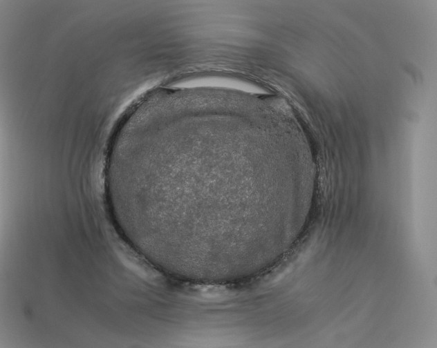X0000114090395200910191607