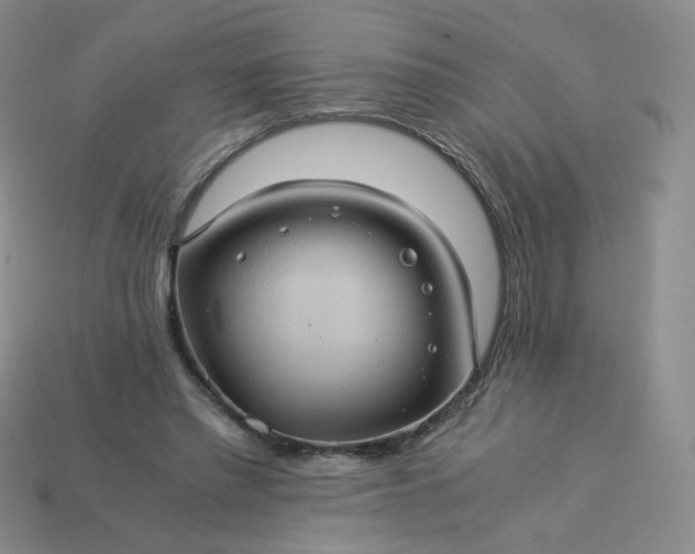 X0000114090397200910191607