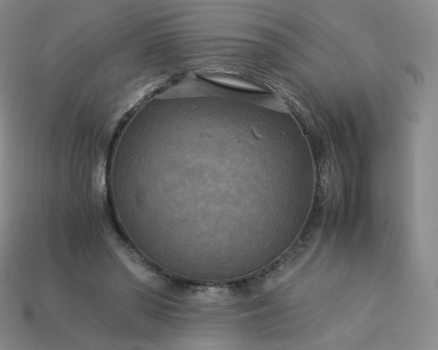 X0000114090398200910191607