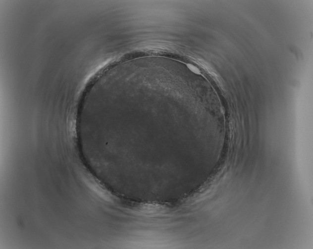 X0000114090399200910191607