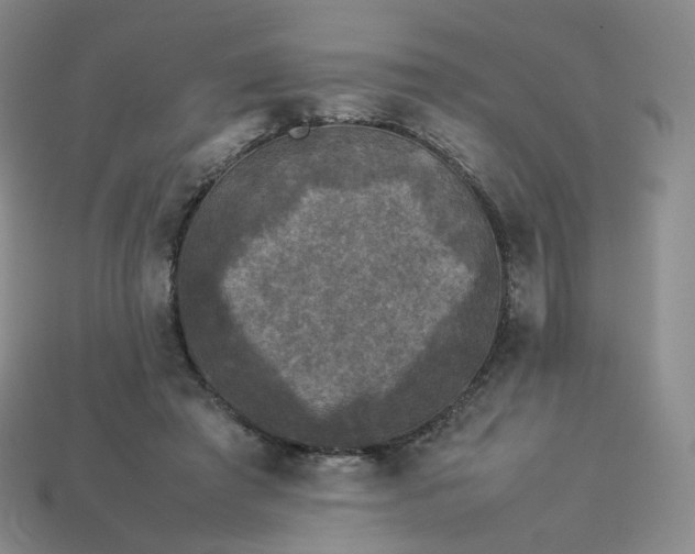 X0000114090401200910191607