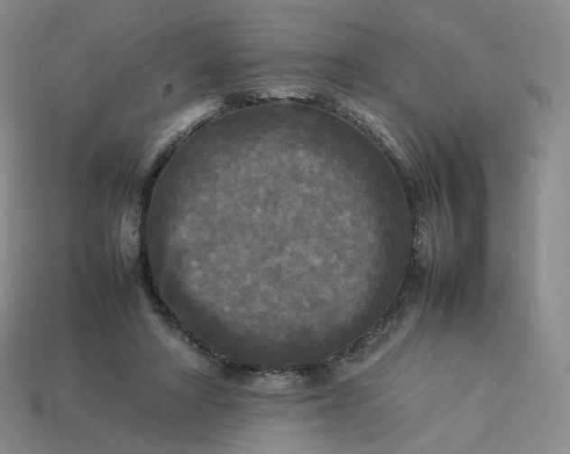 X0000114090402200910191607