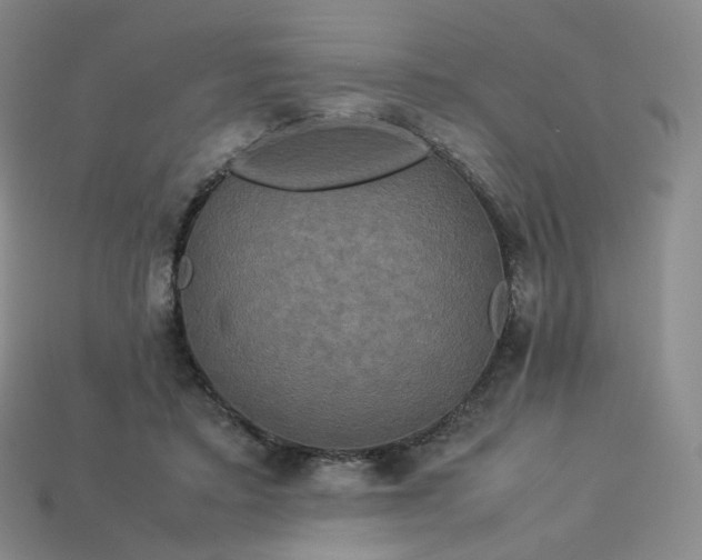 X0000114090403200910191607