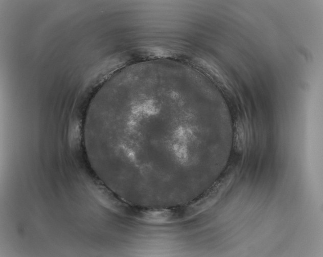 X0000114090410200910191607