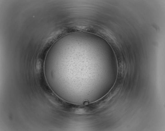 X0000114090412200910191607