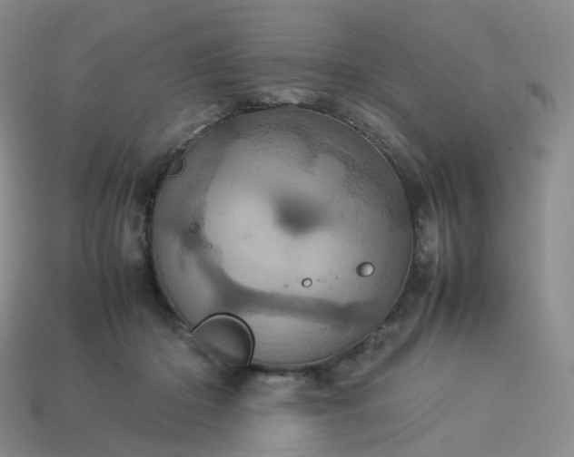 X0000114090414200910191607