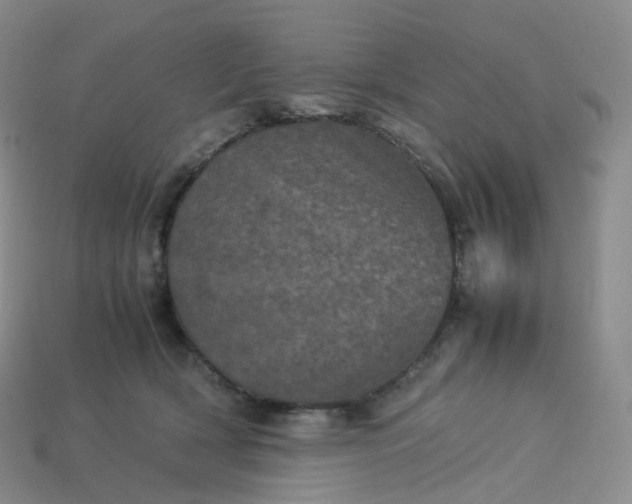 X0000114090418200910191607