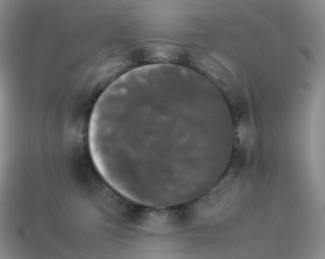 X0000114090423200910191607