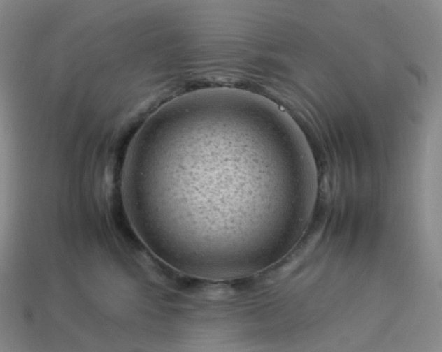 X0000114090424200910191607