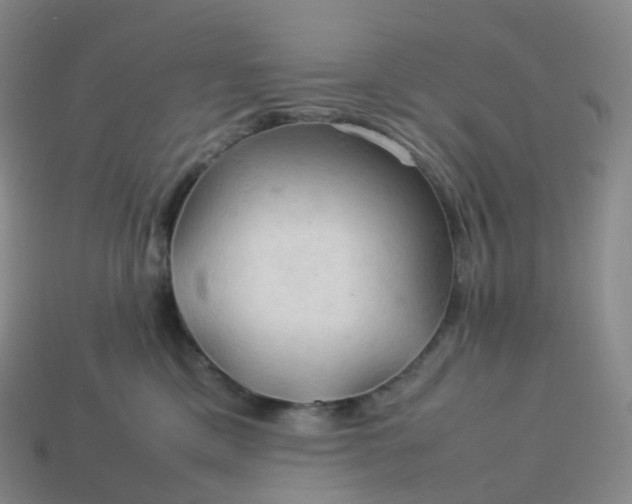 X0000114090425200910191607