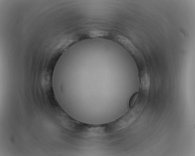 X0000114090426200910191607