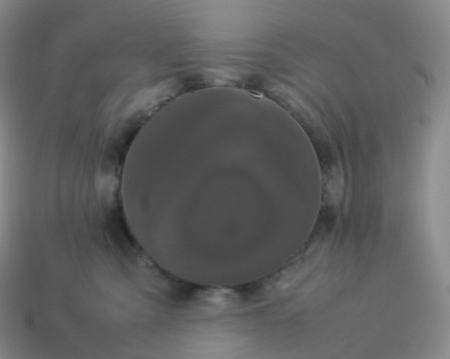 X0000114090427200910191607