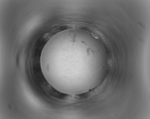 X0000114090429200910191607