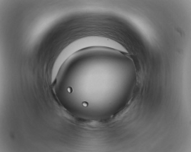 X0000114090431200910191607