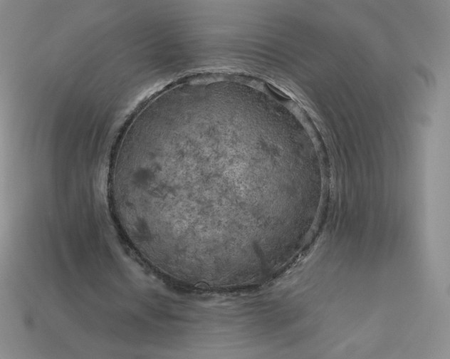 X0000114090434200910191606