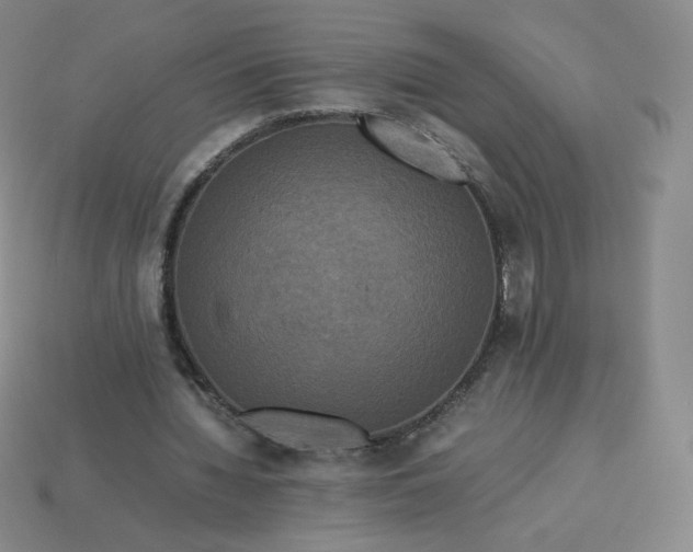 X0000114090436200910191606