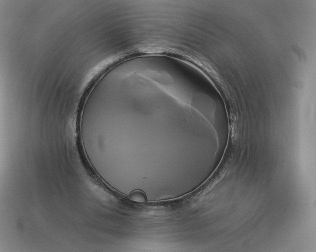 X0000114090438200910191606