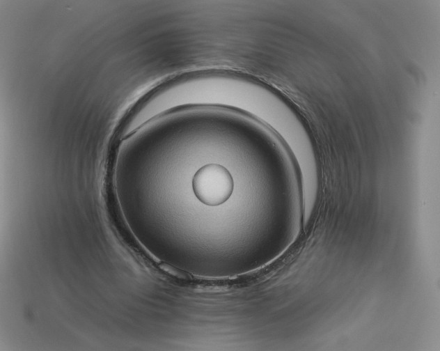 X0000114090440200910191606