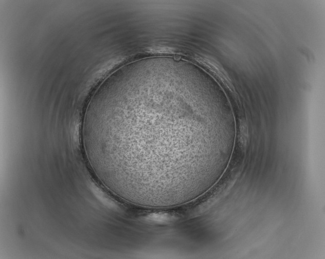 X0000114090441200910191606