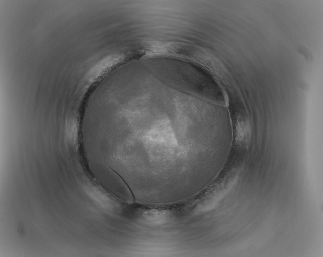 X0000114090444200910191606