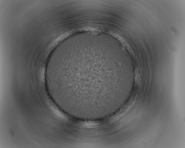 X0000114090445200910191606