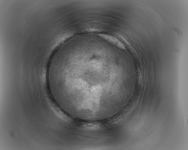 X0000114090447200910191606