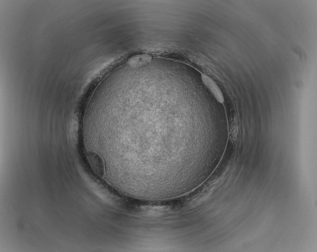 X0000114090448200910191606
