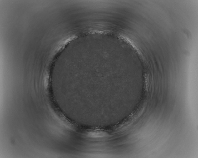 X0000114090451200910191606
