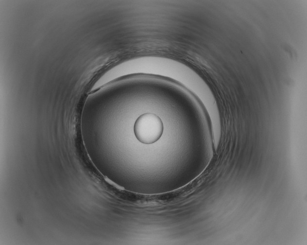 X0000114090452200910191606
