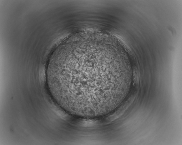 X0000114090453200910191606