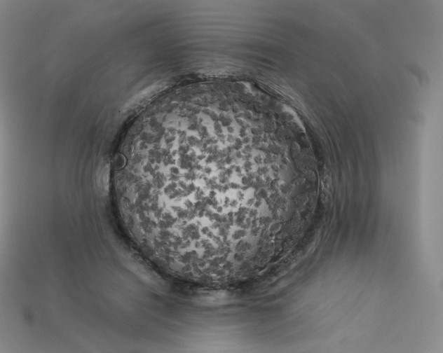 X0000114090454200910191606